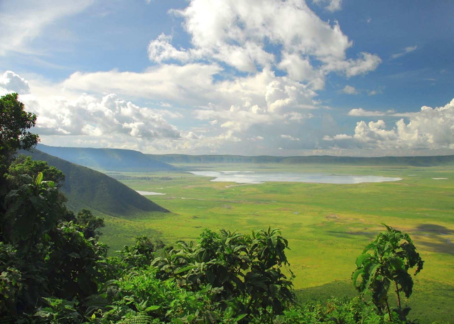 Lush landscape after short rains with dramatic sky