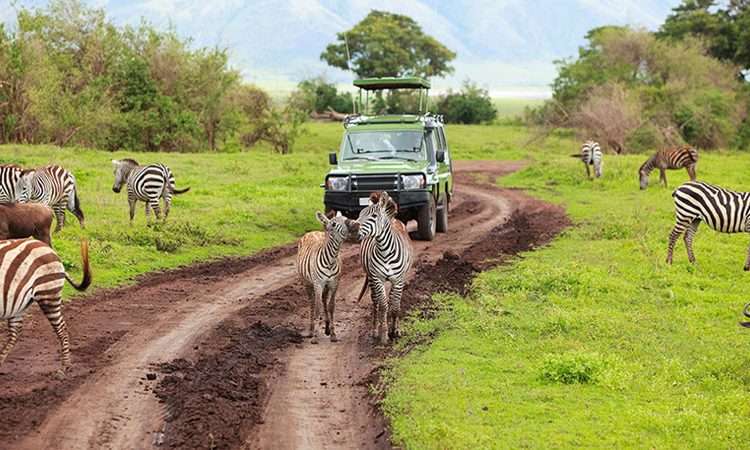 Tourists on a walking safari in Arusha National Park