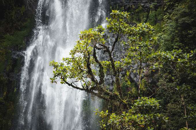 Materuni Waterfall cascading down rocks