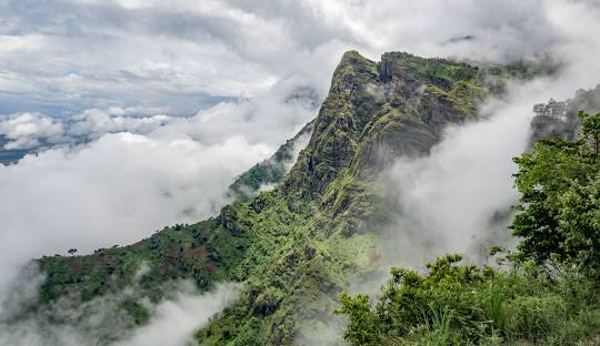 Lush green landscape of the Usambara Mountains