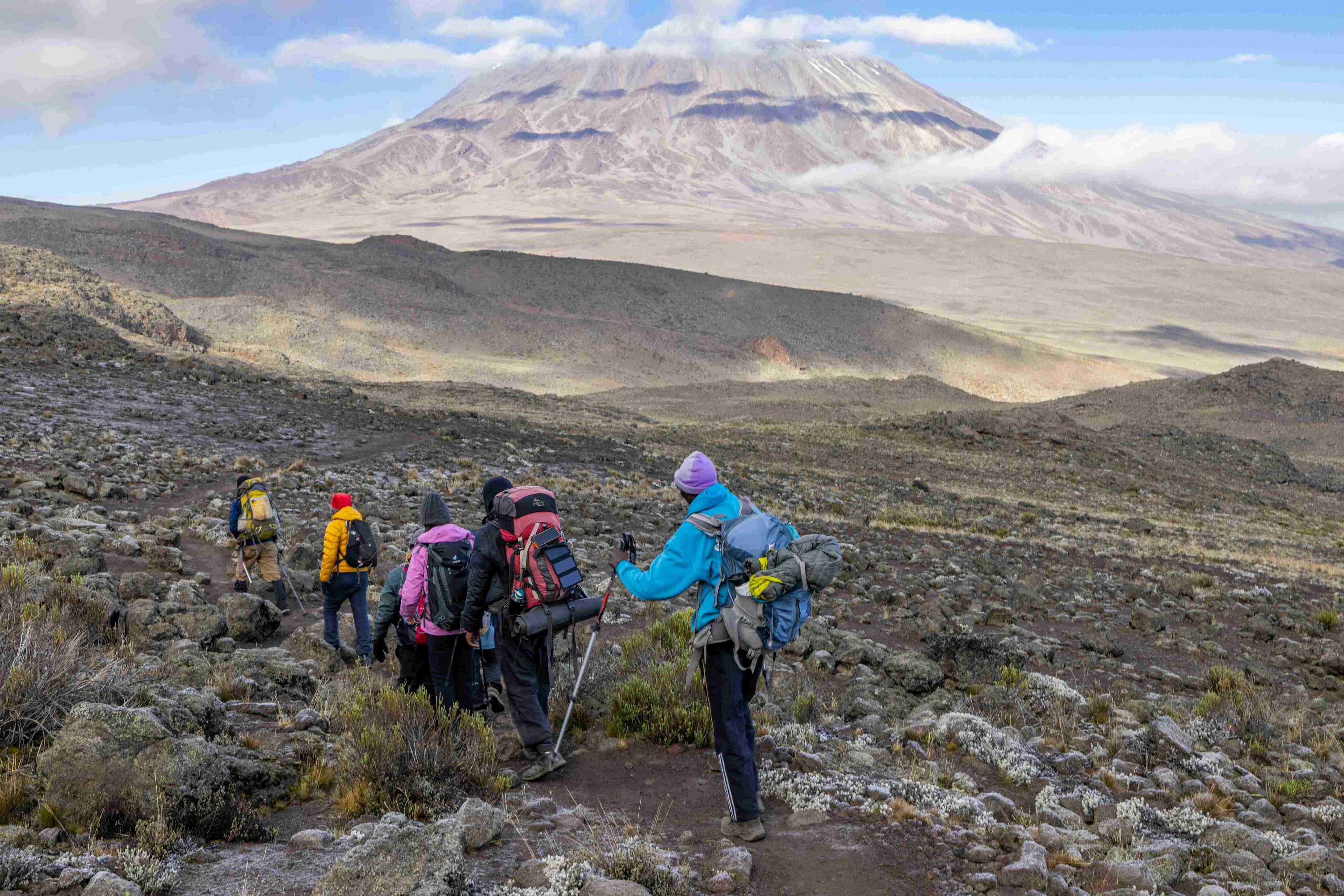 Kilimanjaro