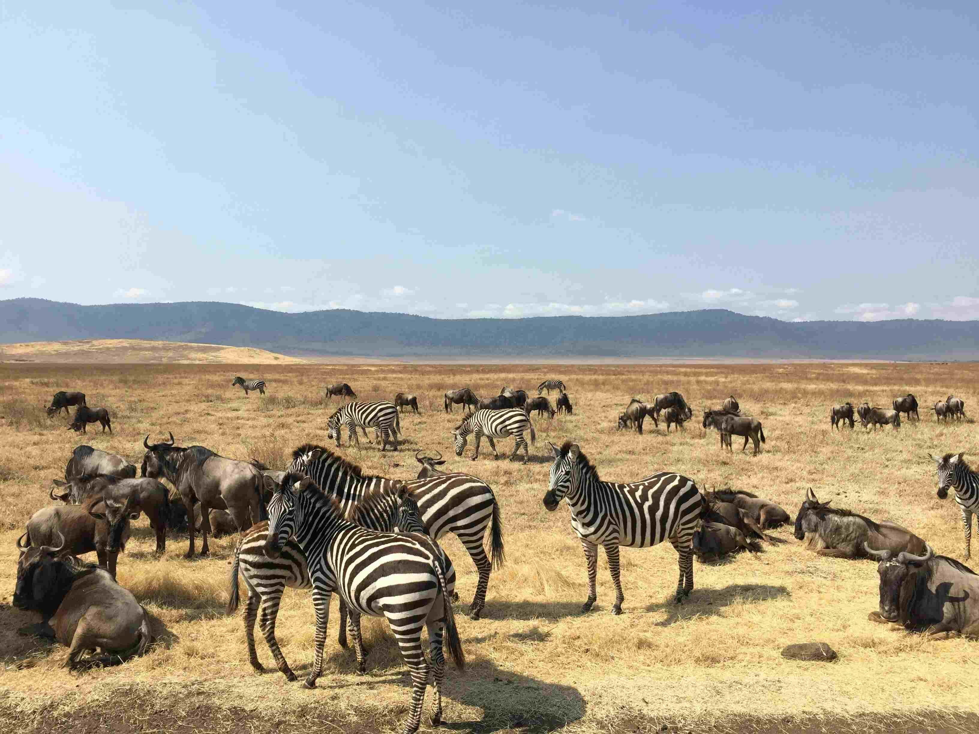 Ngorongoro Crater