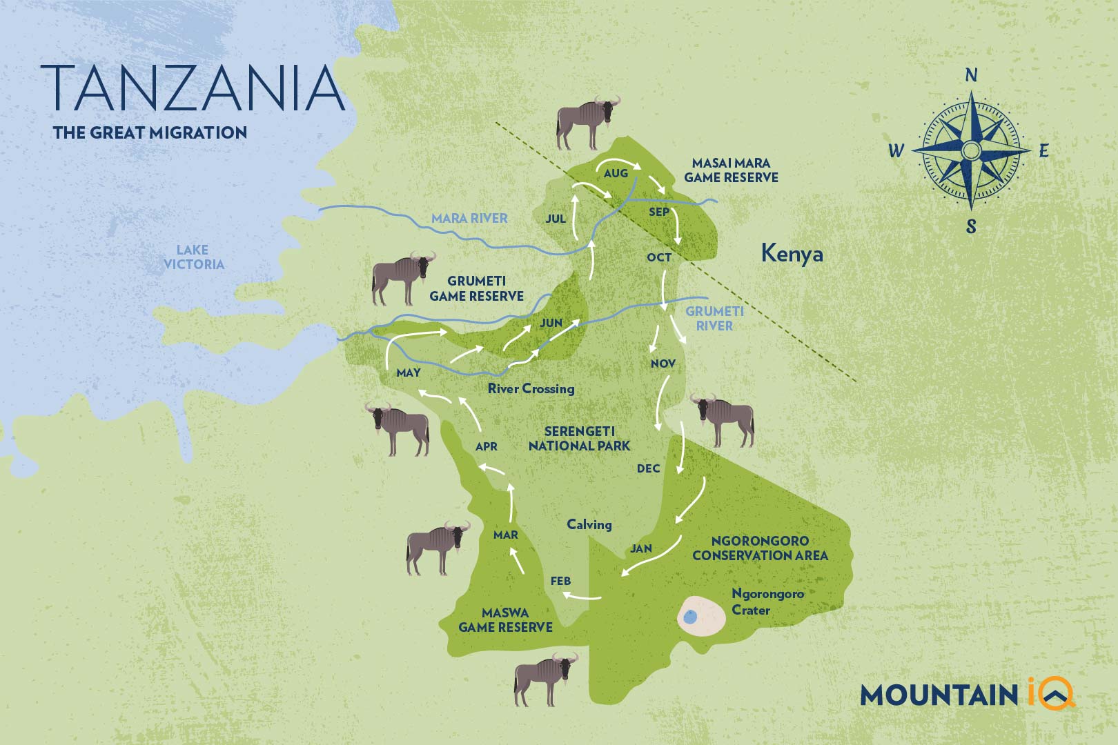 Simplified map showing Serengeti migration route