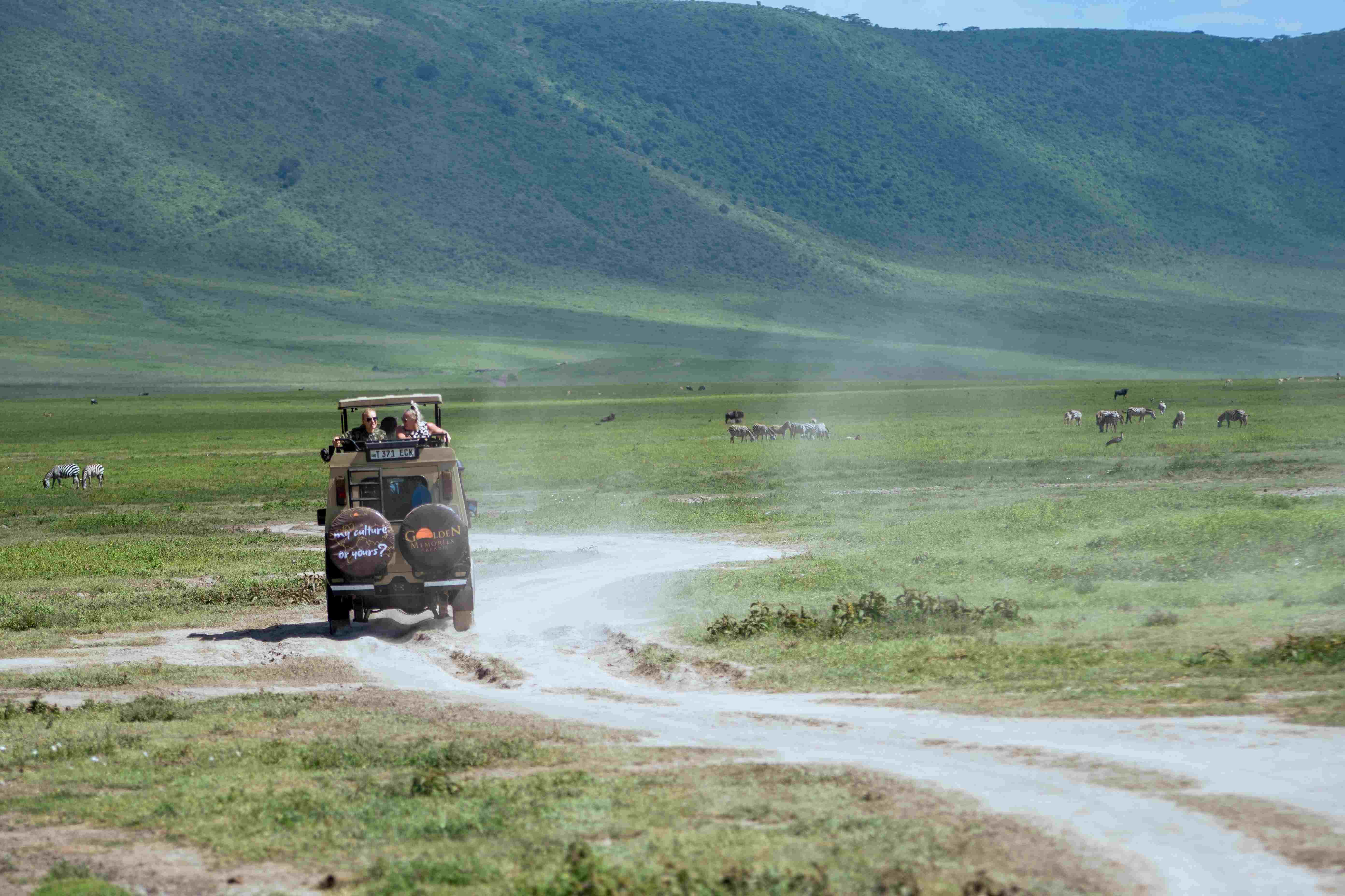 Panoramic view of the Ngorongoro Crater floor