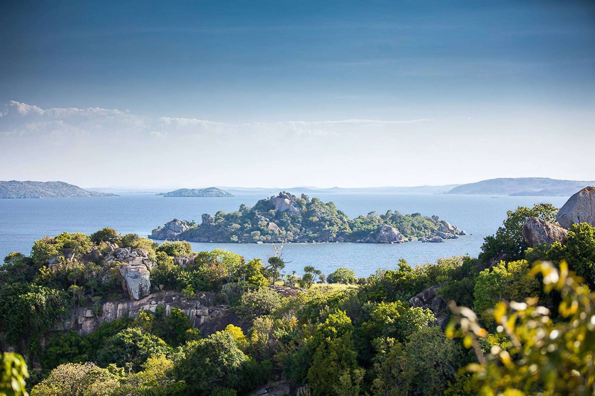 Wildlife on Saanane Island National Park near Mwanza