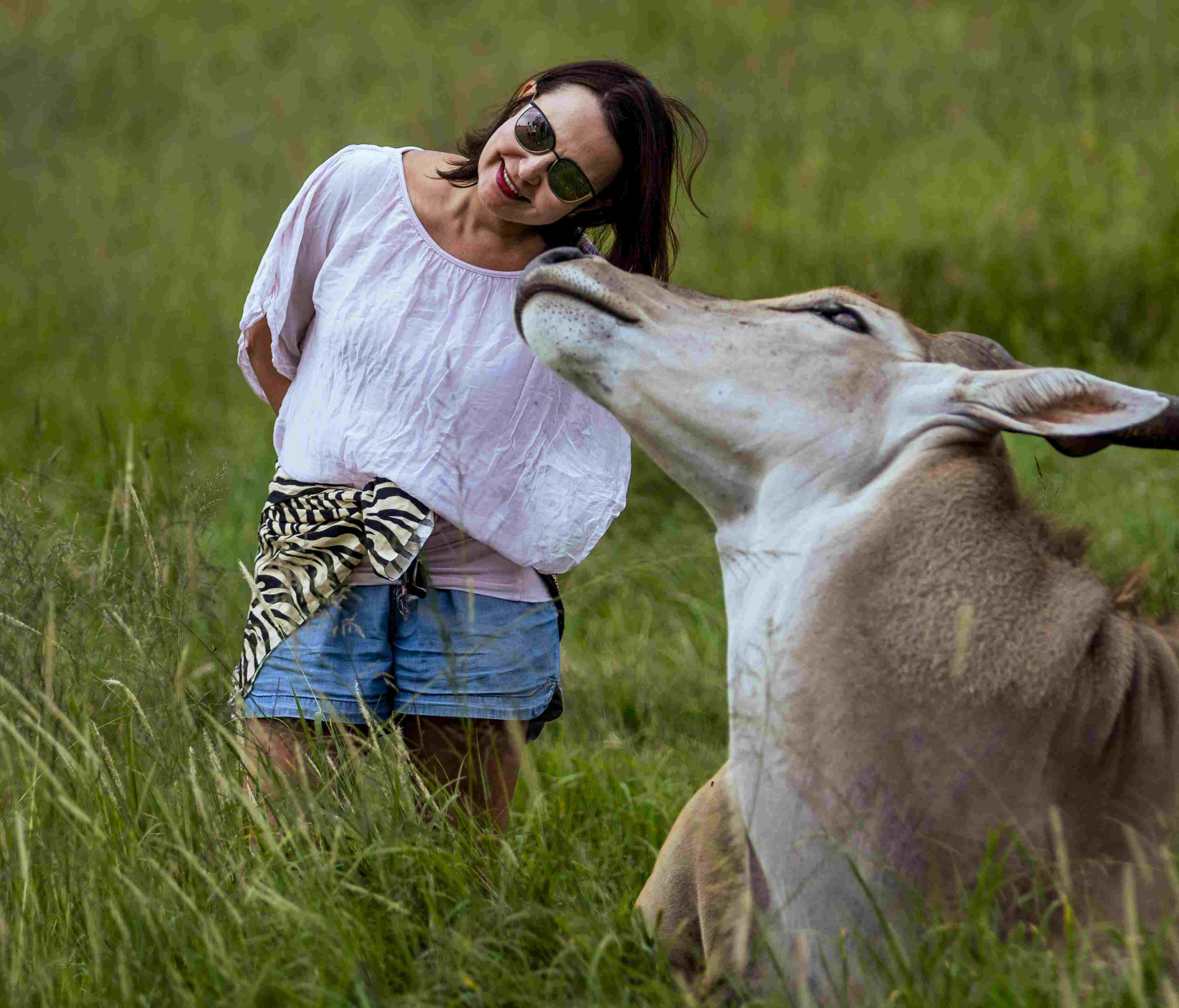 Various antelope species at Serval Wildlife
