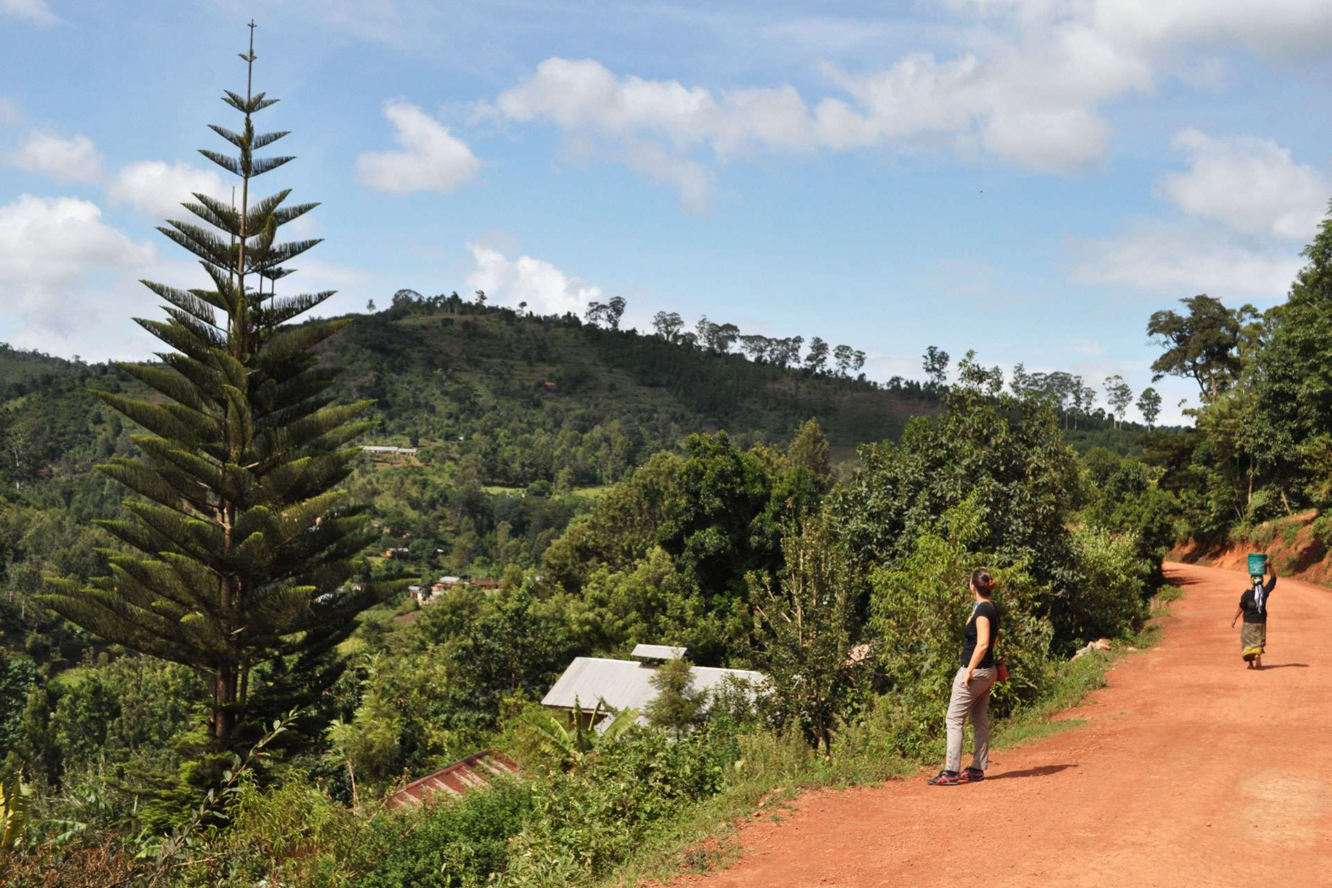 Hikers on a trail in the Usambara Mountains