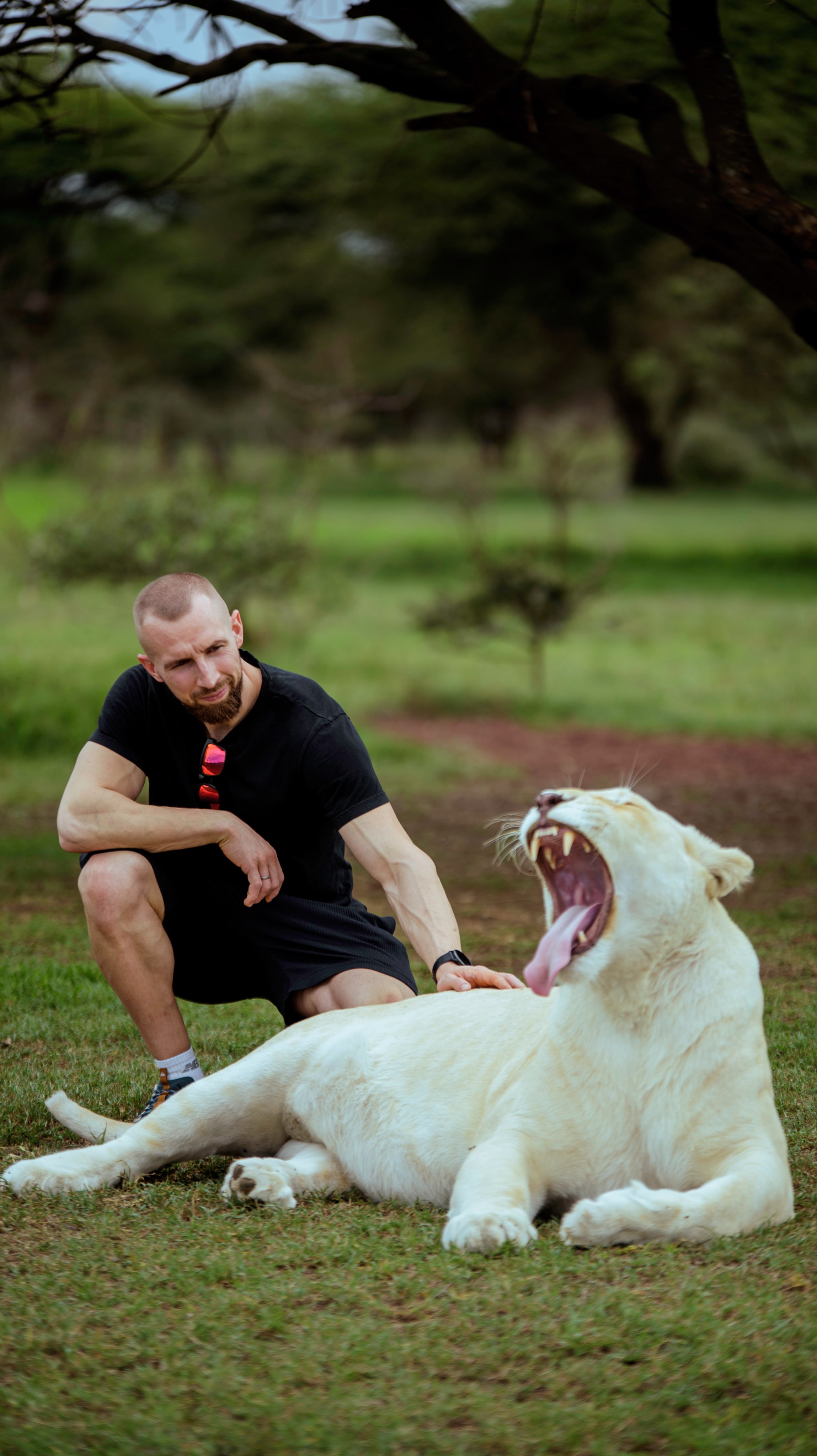 Selfie with White Lion